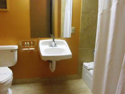 Intercontinental Airport By Ihg Hotel Houston